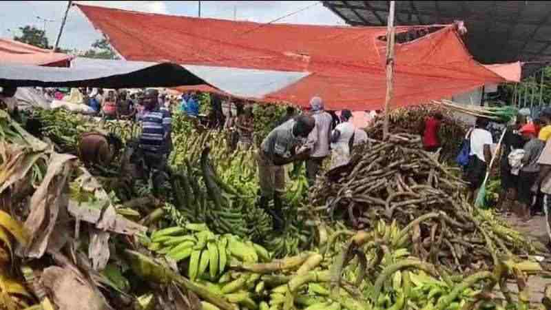 vendedores de platanos